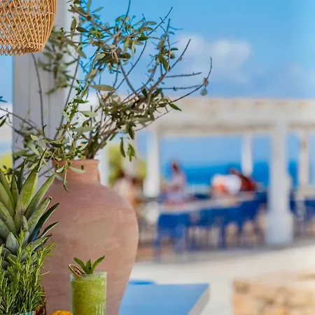 Wellclub - Family & Wellness فندق بافوس